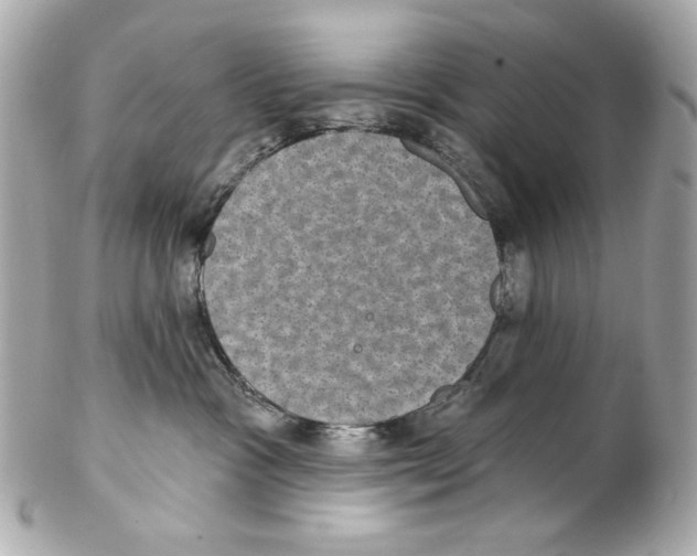 X0000102040333200808151412