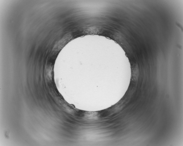 X0000102040334200808151412