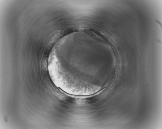 X0000102040336200808151412