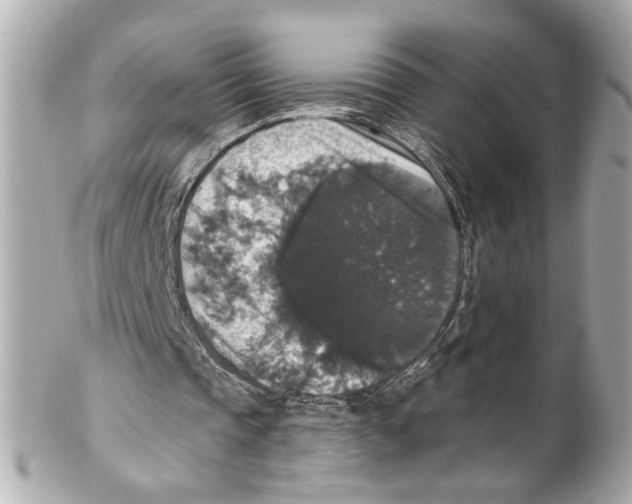 X0000102040337200808151411