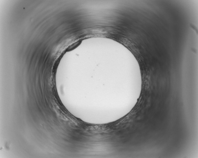 X0000102040338200808151411