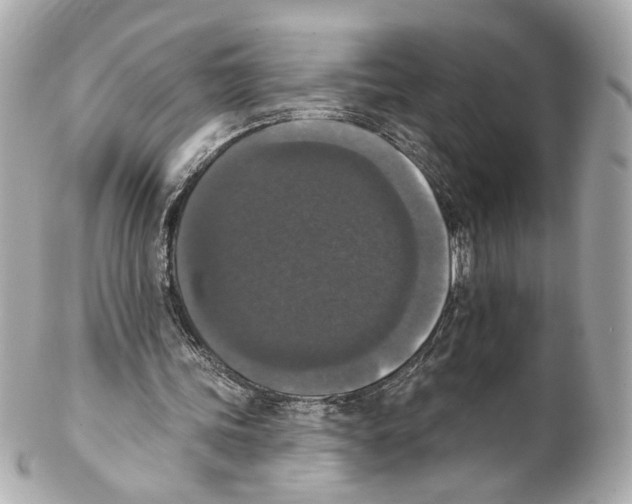 X0000102040339200808151411