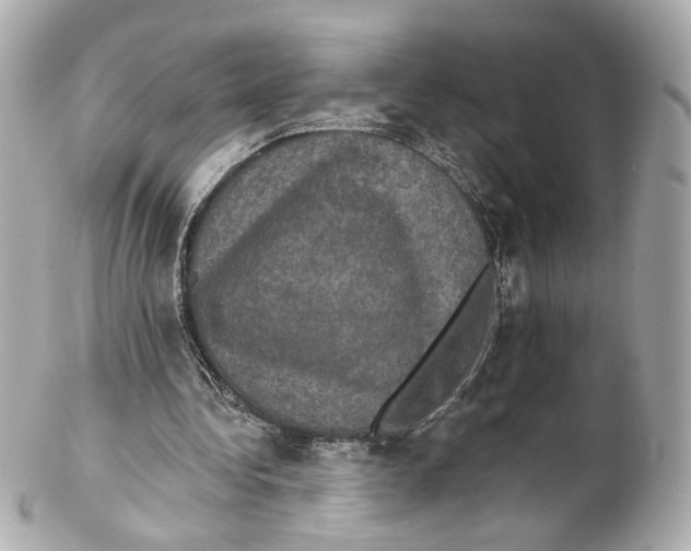 X0000102040340200808151411