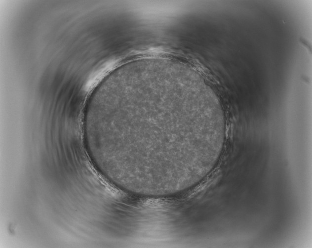 X0000102040341200808151411