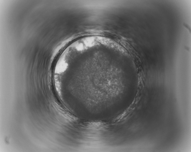 X0000102040342200808151411