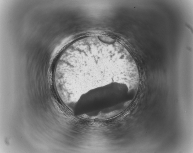 X0000102040343200808151411