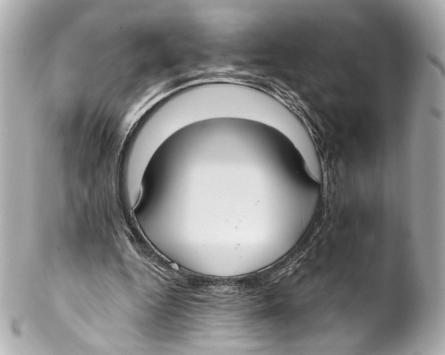 X0000102040344200808151411