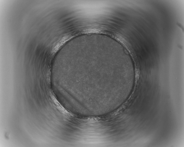 X0000102040345200808151412