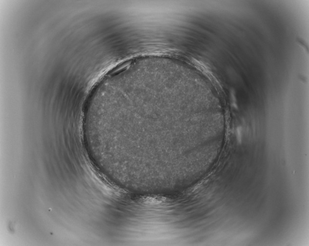 X0000102040346200808151412