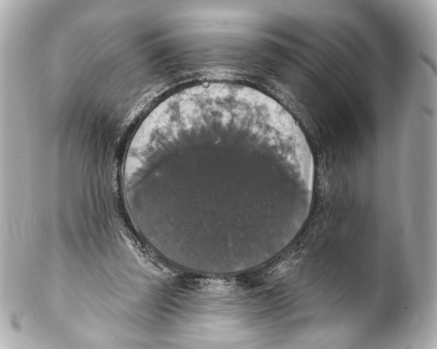 X0000102040347200808151412