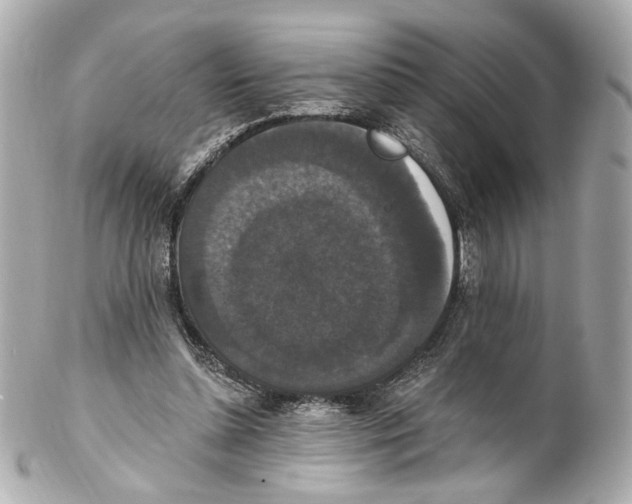 X0000102040348200808151412
