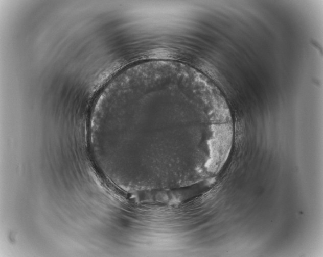 X0000102040349200808151412