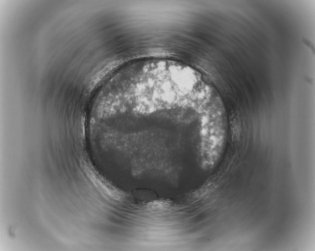 X0000102040350200808151412