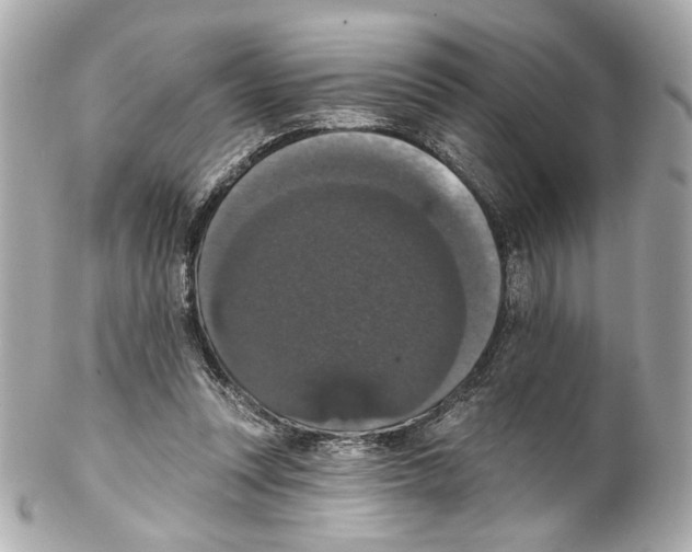 X0000102040351200808151412