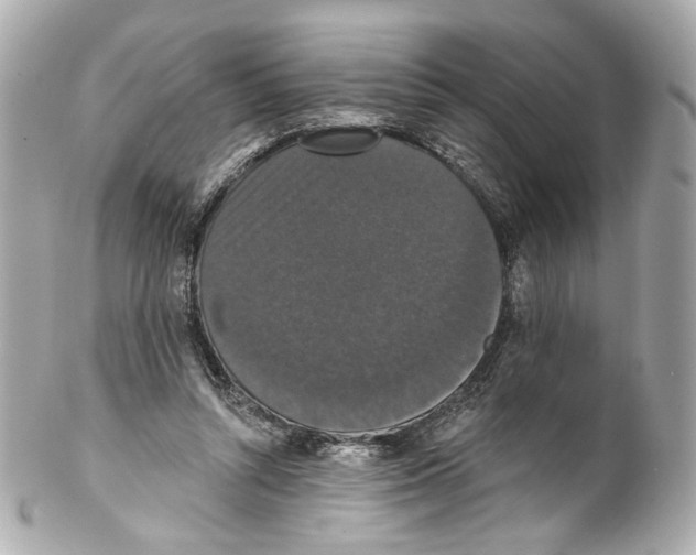X0000102040352200808151412