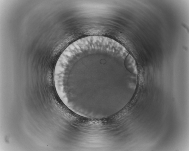 X0000102040353200808151412