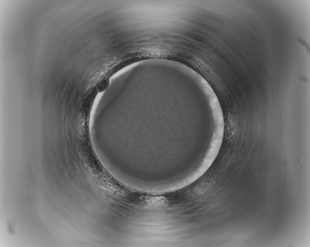 X0000102040355200808151412