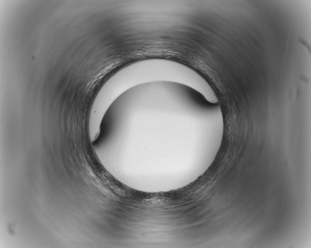 X0000102040356200808151412