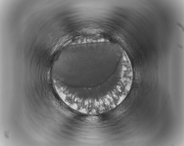 X0000102040357200808151412