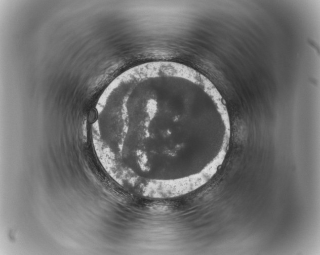 X0000102040358200808151412