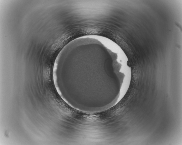 X0000102040359200808151412