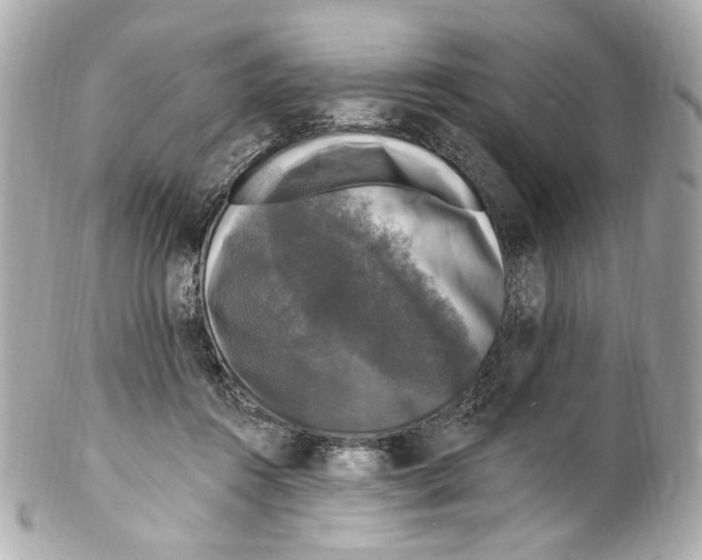 X0000102040360200808151412