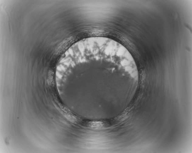 X0000102040361200808151412