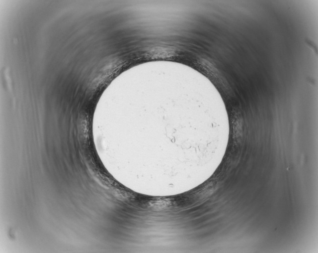 X0000102040362200808151412
