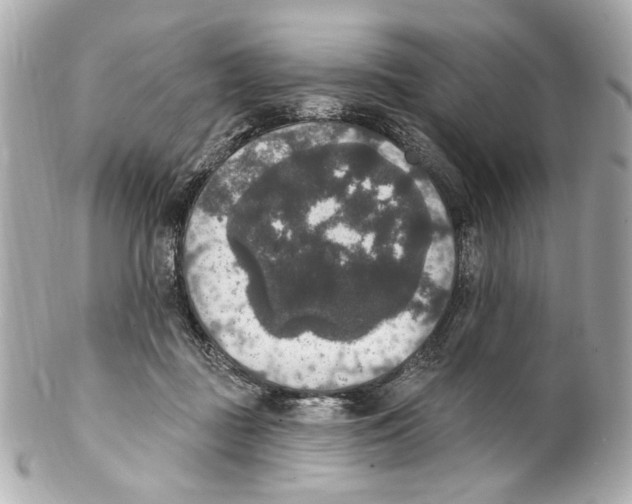 X0000102040363200808151412