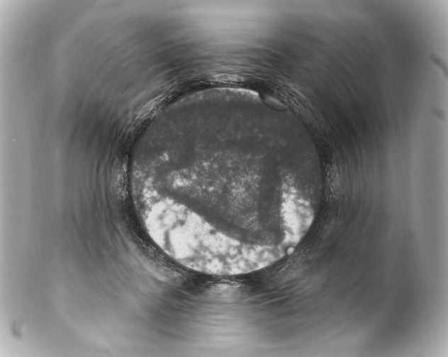 X0000102040364200808151412