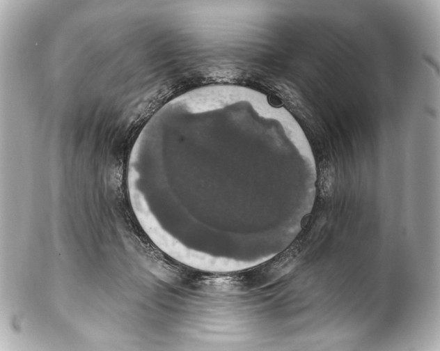 X0000102040365200808151412