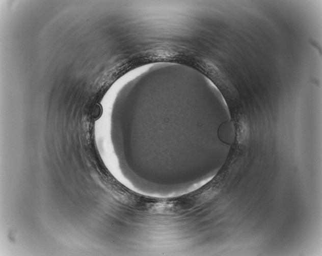 X0000102040366200808151412