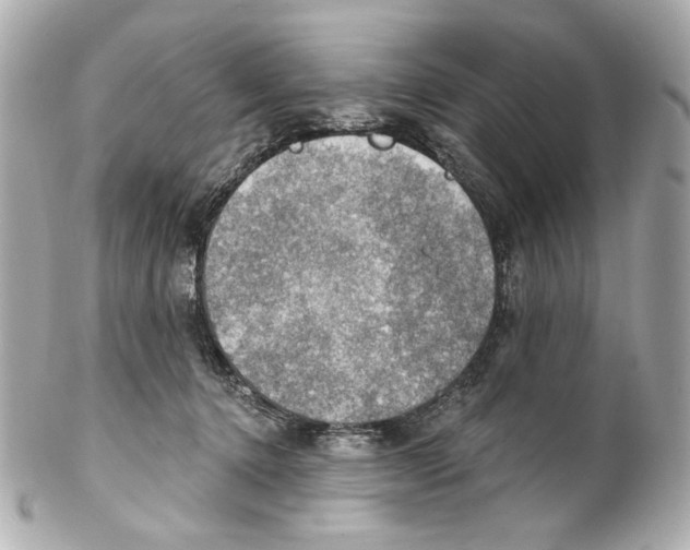 X0000102040368200808151412