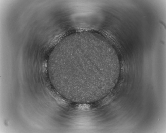 X0000102040369200808151412