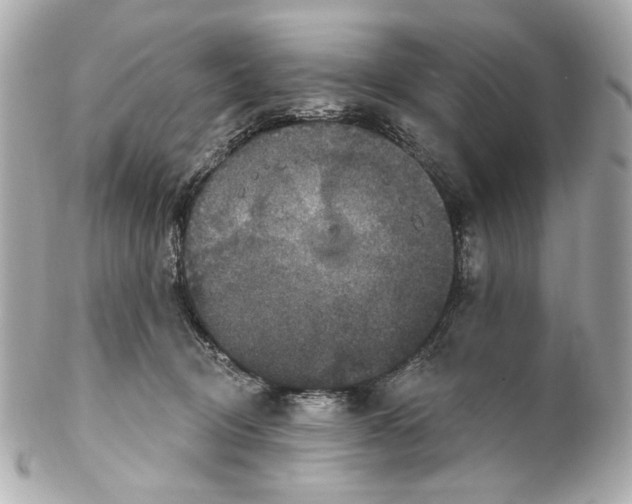 X0000102040370200808151412