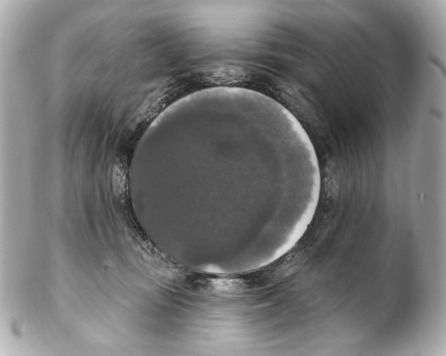 X0000102040371200808151412