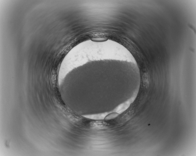 X0000102040372200808151412