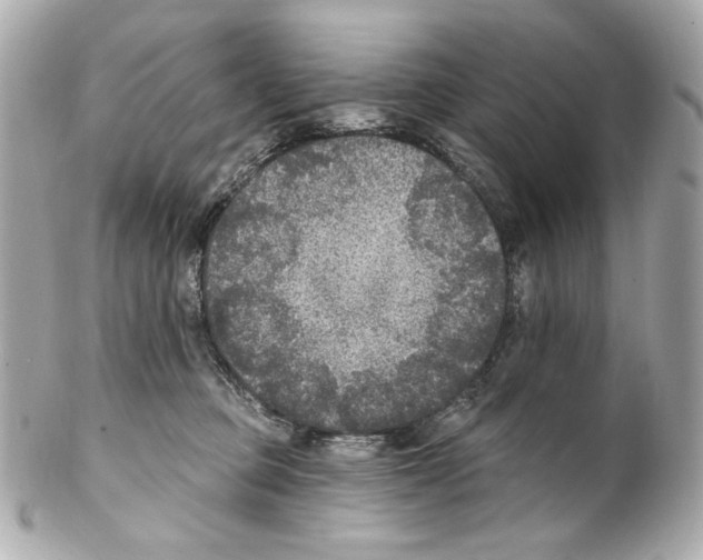 X0000102040373200808151412