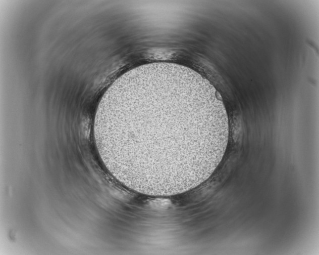 X0000102040374200808151412