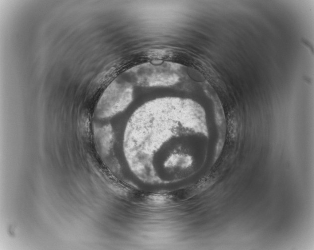 X0000102040375200808151412