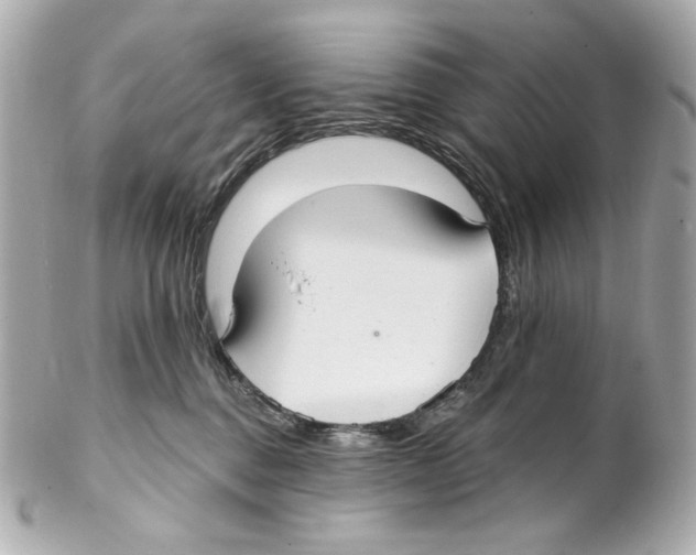 X0000102040376200808151412