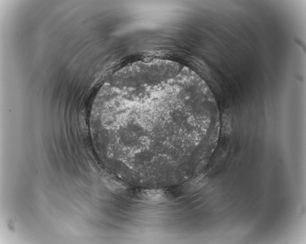 X0000102040377200808151412