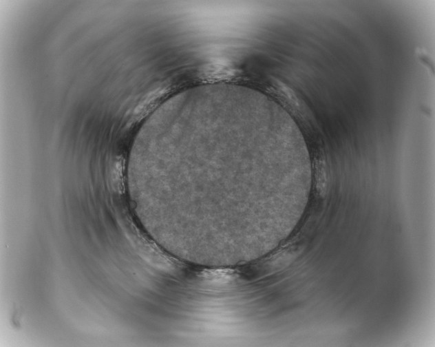 X0000102040378200808151412