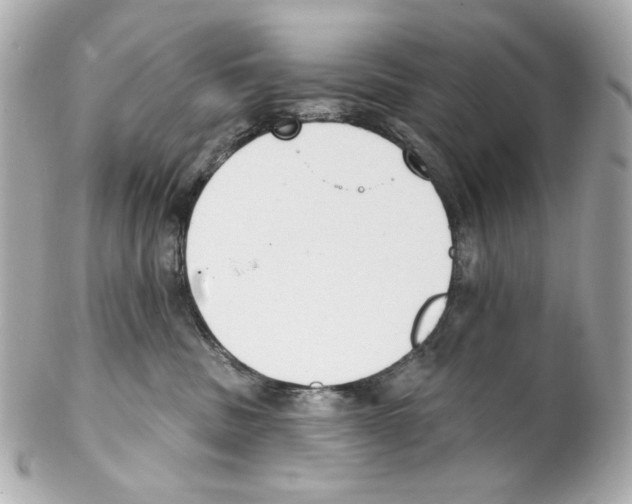 X0000102040379200808151412