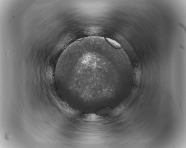 X0000102040380200808151412