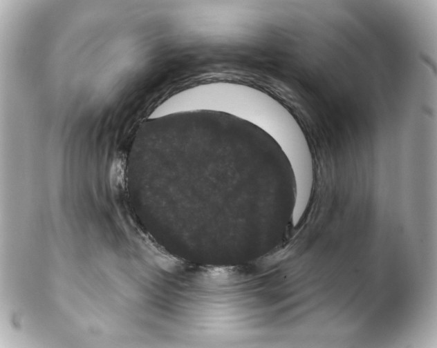 X0000102040382200808151412