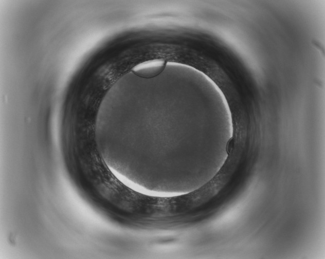 X0000102040383200808151412