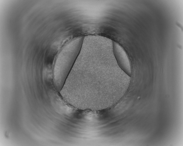 X0000102040384200808151412