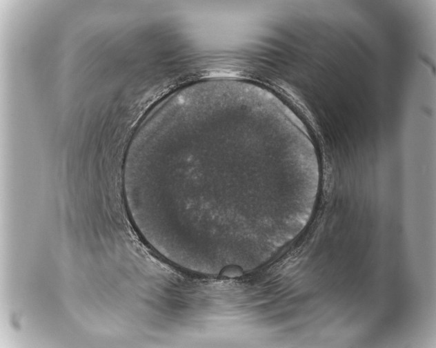 X0000102040385200808151411