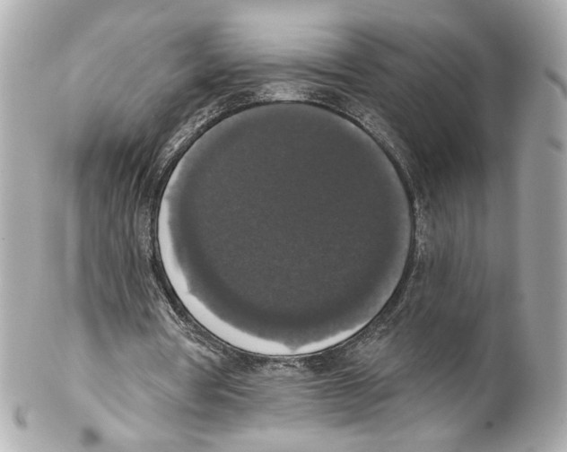 X0000102040386200808151411